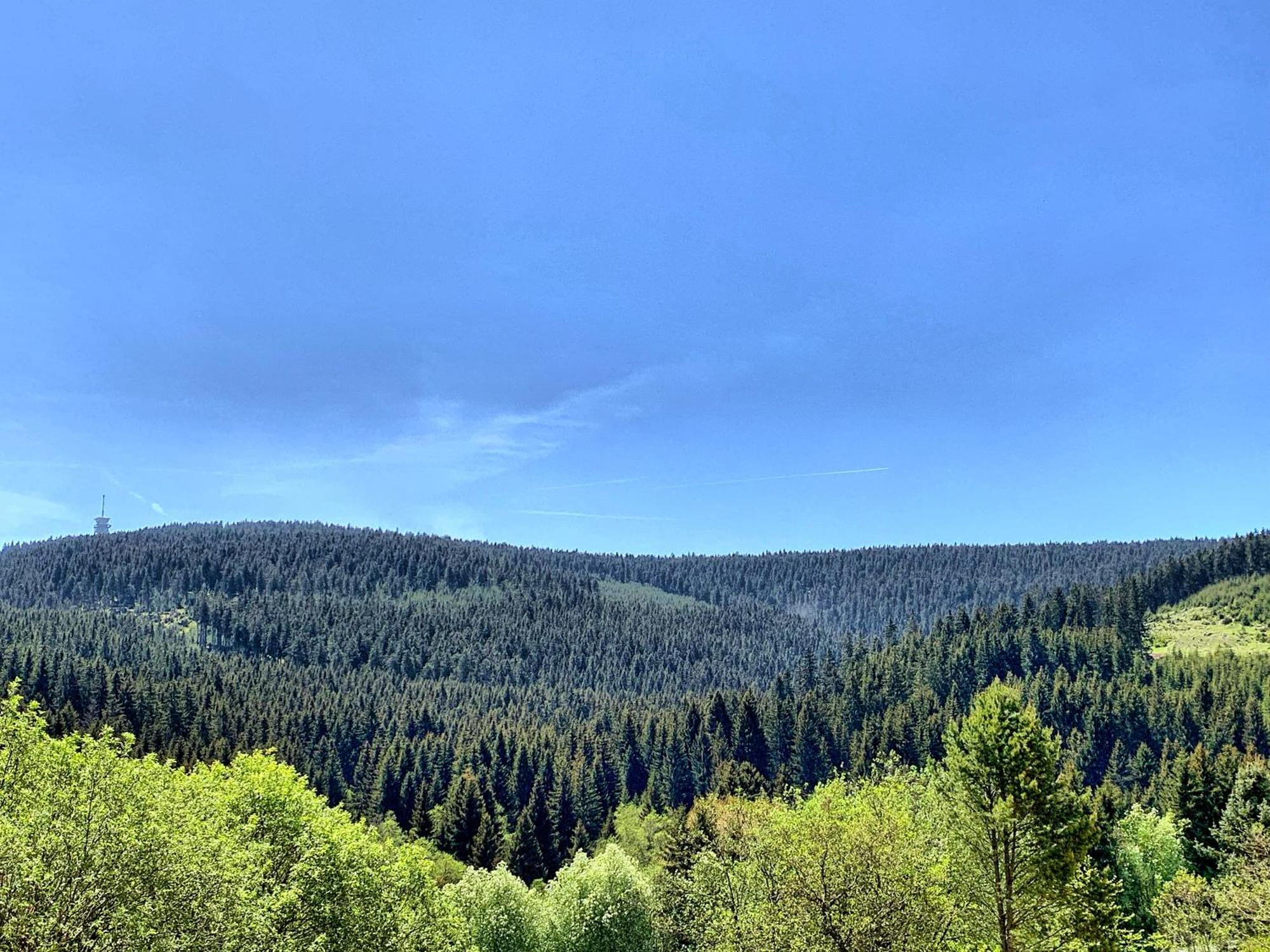 Erzgebirge Suite Bergruhe Oberwiesenthal Buitenkant foto